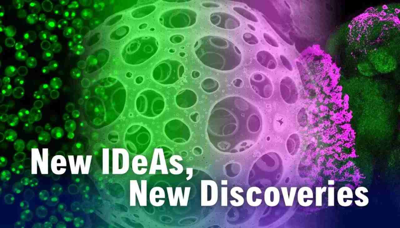 Screen-Shot-2021-08-04-at-12.07.23-PM