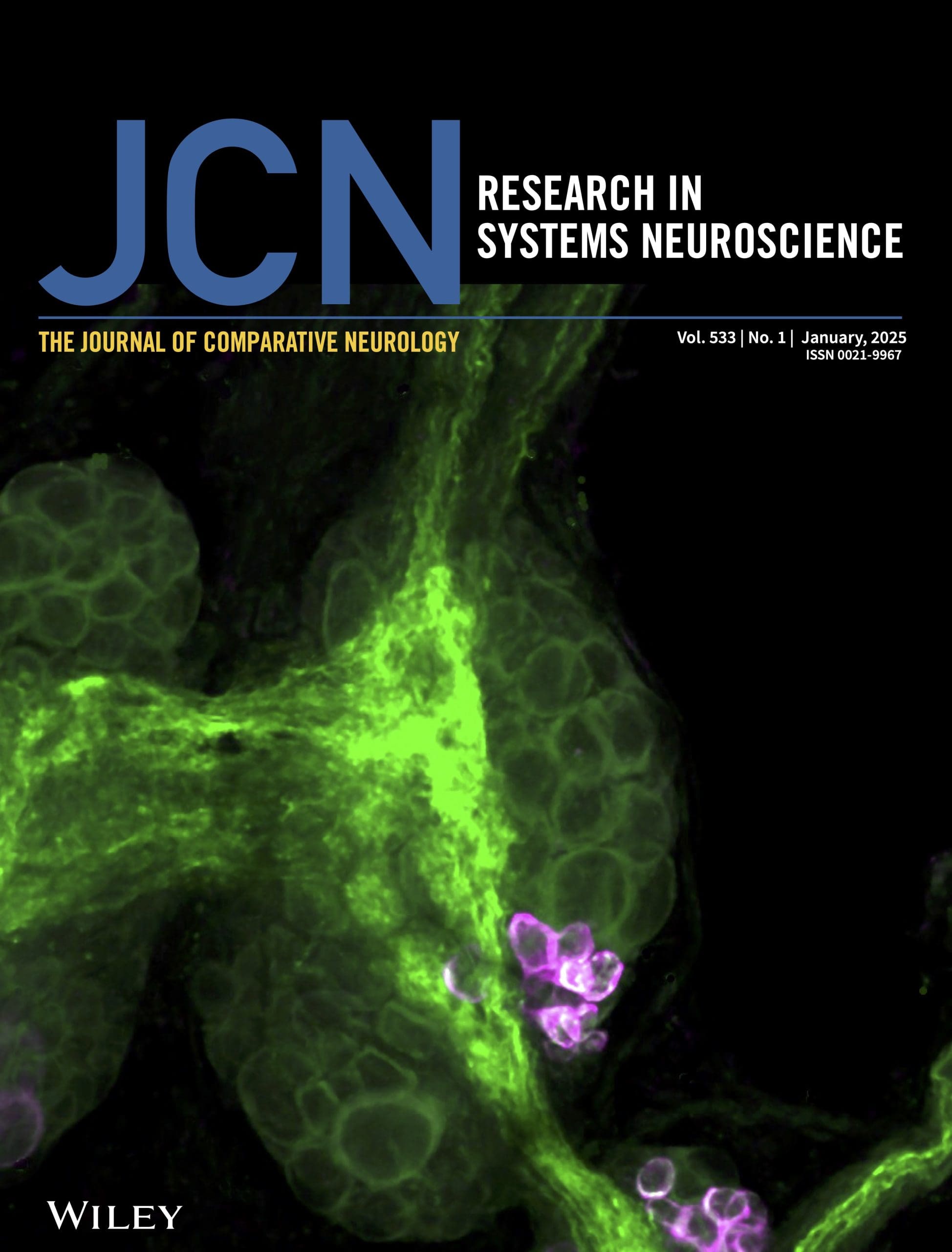 Alana Cover Jan 2025