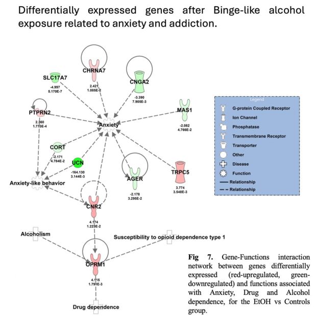 514315090_1238499444729377_7022416484350268909_n